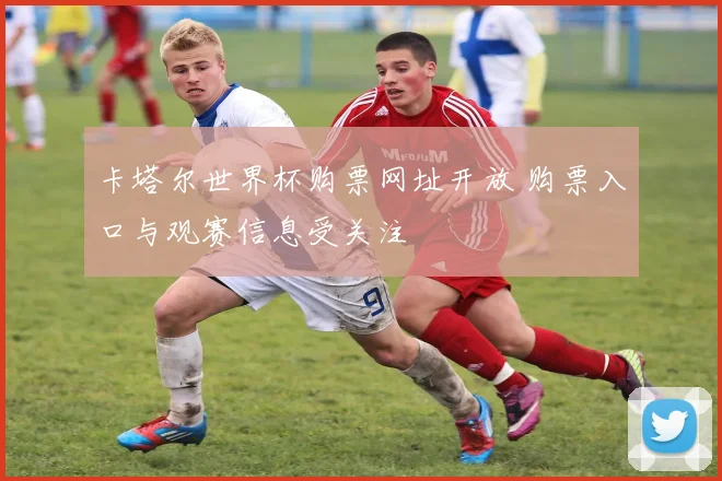 卡塔尔世界杯购票网址开放 购票入口与观赛信息受关注