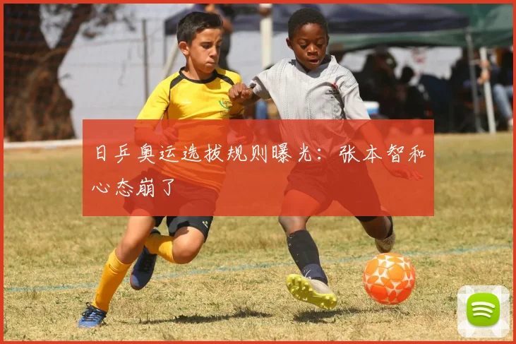 日乒奥运选拔规则曝光:张本智和心态崩了